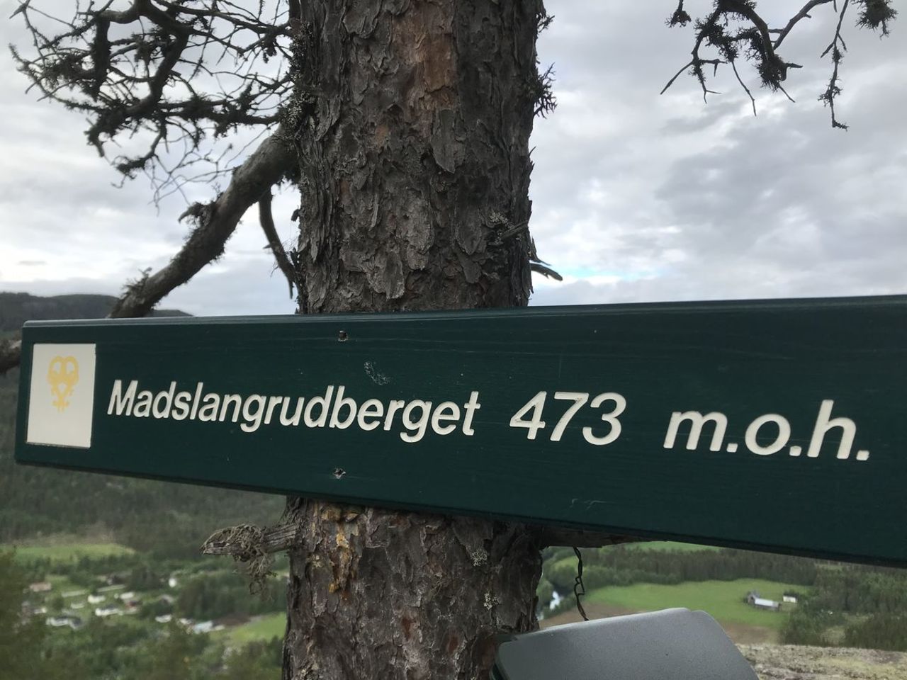 Flaggfjell